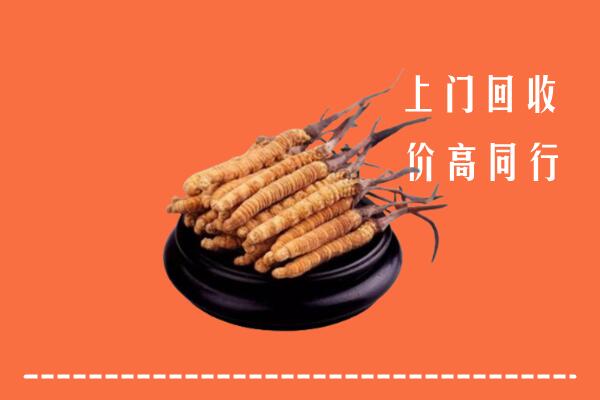 高价求购：德兴市回收散虫草