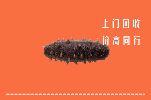 德兴市回收海参